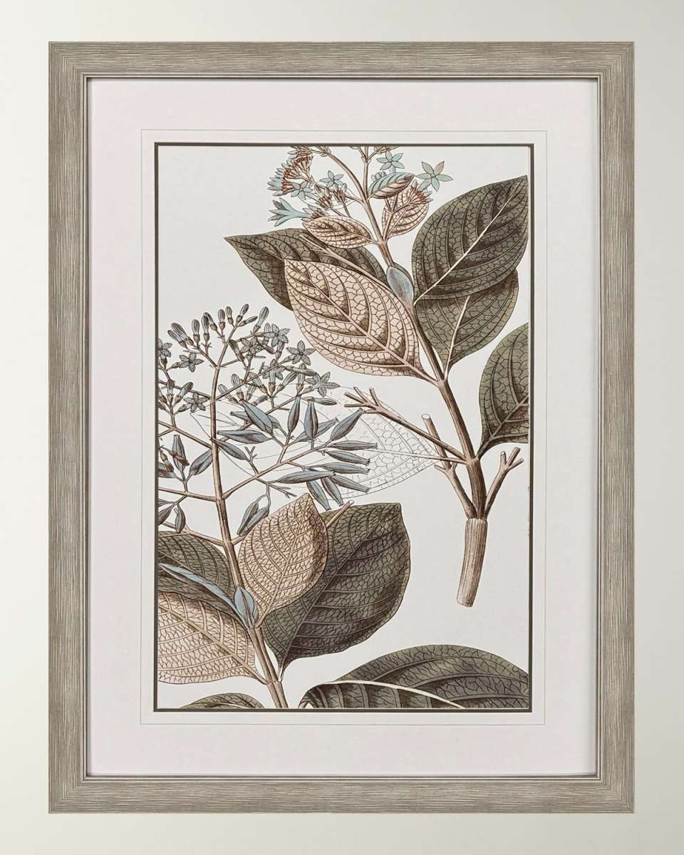"Flowering Botanical III" Framed Giclee on Paper